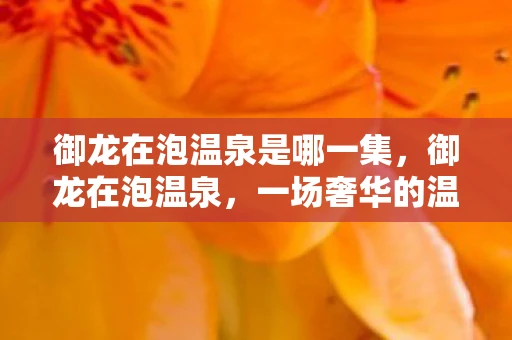 御龙在泡温泉是哪一集，御龙在泡温泉，一场奢华的温泉之旅