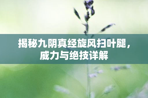 揭秘九阴真经旋风扫叶腿图片