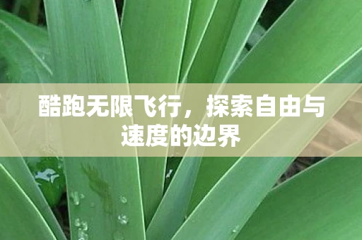 酷跑无限飞行，探索自由与速度的边界