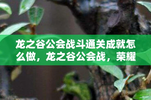 龙之谷公会战斗通关成就怎么做，龙之谷公会战，荣耀与策略并存的战场