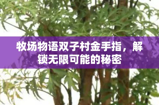 牧场物语双子村金手指，解锁无限可能的秘密