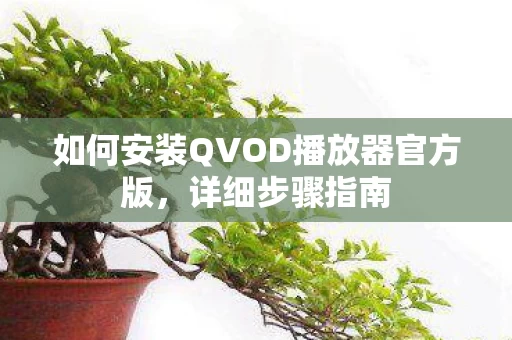 如何安装QVOD播放器官方版图片
