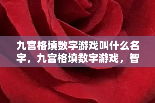 九宫格填数字游戏叫什么名字，九宫格填数字游戏，智慧与艺术的碰撞