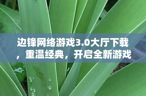 边锋网络游戏3.0大厅下载，重温经典，开启全新游戏体验