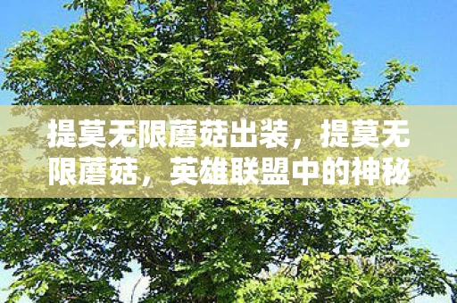 提莫无限蘑菇出装，提莫无限蘑菇，英雄联盟中的神秘战术解析