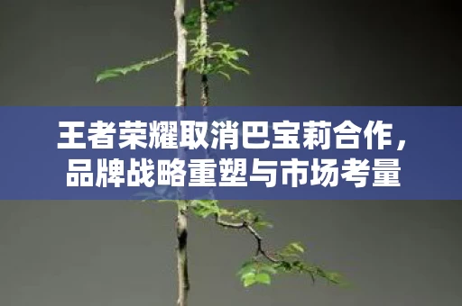 王者荣耀取消巴宝莉合作图片