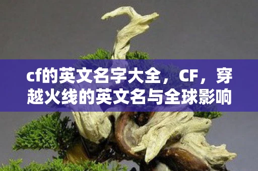 cf的英文名字大全，CF，穿越火线的英文名与全球影响力