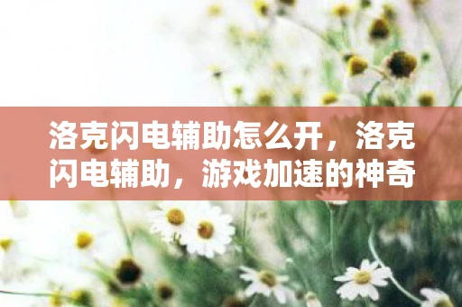 洛克闪电辅助怎么开，洛克闪电辅助，游戏加速的神奇工具