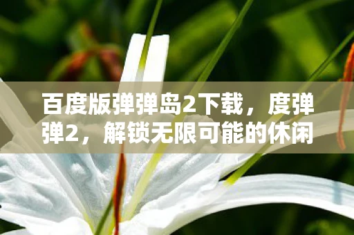 百度版弹弹岛2下载，度弹弹2，解锁无限可能的休闲益智游戏