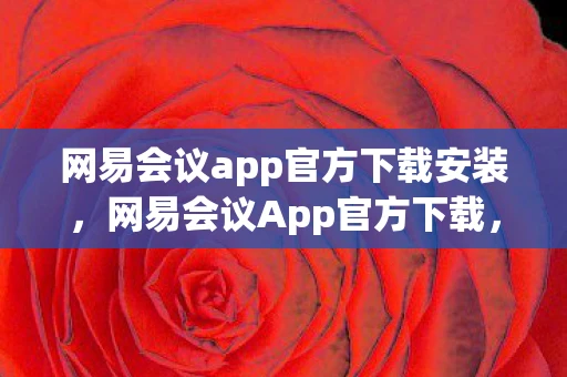 网易会议app官方下载安装，网易会议App官方下载，高效便捷的云端协作工具