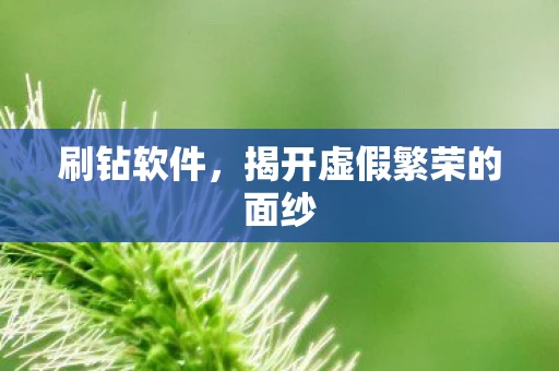 刷钻软件，揭开虚假繁荣的面纱