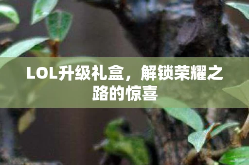 解锁荣耀之路的惊喜图片