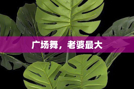 广场舞，老婆最大