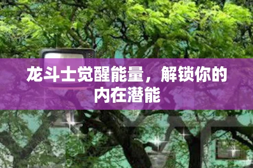 龙斗士觉醒能量，解锁你的内在潜能
