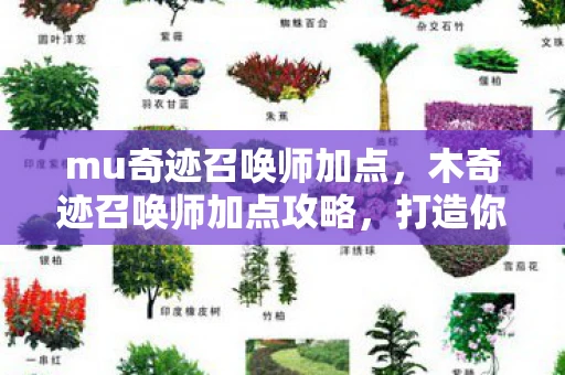 mu奇迹召唤师加点，木奇迹召唤师加点攻略，打造你的专属奇迹