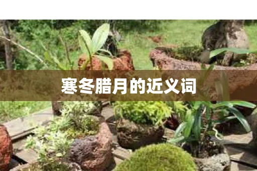 寒冬腊月的近义词
