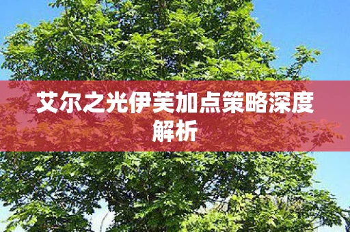 艾尔之光伊芙加点策略深度解析图片