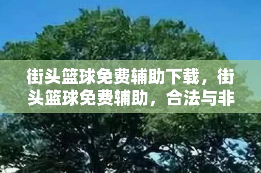 街头篮球免费辅助下载，街头篮球免费辅助，合法与非法之间的灰色地带