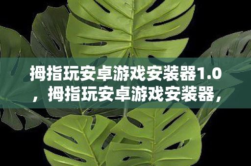 拇指玩安卓游戏安装器1.0，拇指玩安卓游戏安装器，便捷、安全、丰富的游戏资源