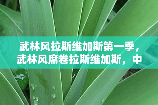 武林风拉斯维加斯第一季，武林风席卷拉斯维加斯，中国武术的国际化征程