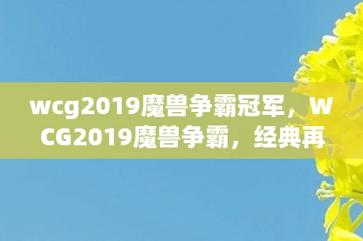 wcg2019魔兽争霸冠军，WCG2019魔兽争霸，经典再现，传奇续写