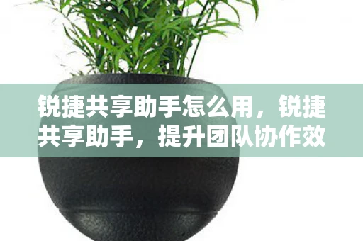 锐捷共享助手怎么用，锐捷共享助手，提升团队协作效率的神器