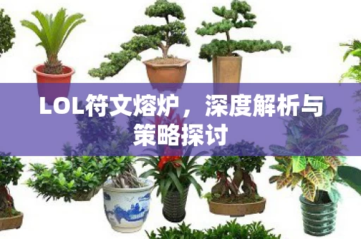 深度解析与策略探讨图片
