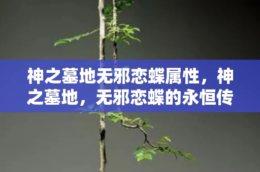神之墓地无邪恋蝶属性，神之墓地，无邪恋蝶的永恒传说