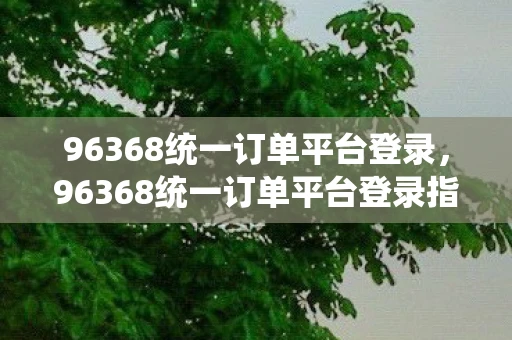 96368统一订单平台登录，96368统一订单平台登录指南，便捷高效的政务服务新体验