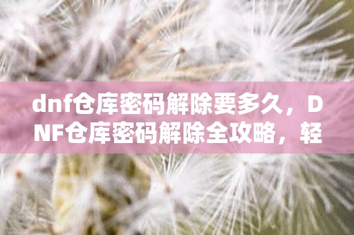 dnf仓库密码解除要多久，DNF仓库密码解除全攻略，轻松解锁，重拾游戏乐趣