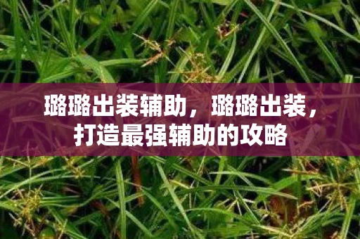 璐璐出装辅助，璐璐出装，打造最强辅助的攻略