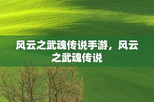 风云之武魂传说手游，风云之武魂传说