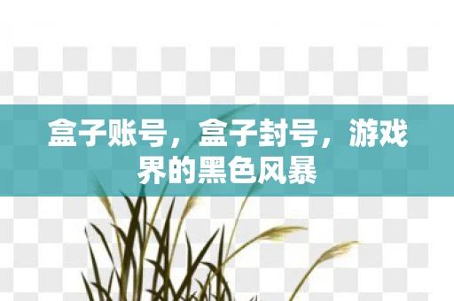 盒子账号，盒子封号，游戏界的黑色风暴
