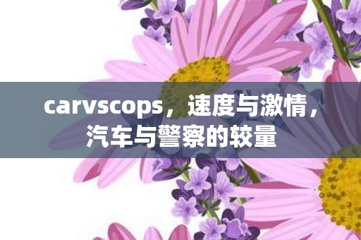 carvscops，速度与激情，汽车与警察的较量