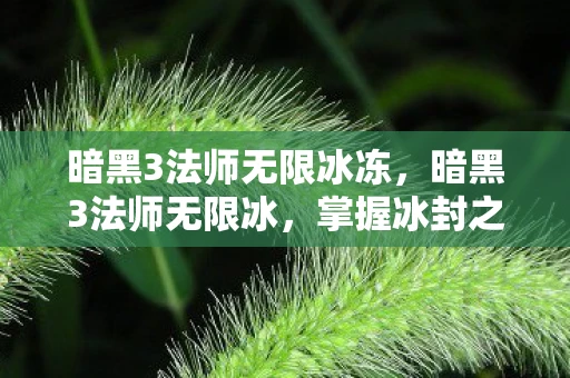 暗黑3法师无限冰冻，暗黑3法师无限冰，掌握冰封之力的终极技巧