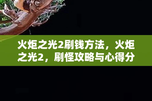 火炬之光2刷钱方法，火炬之光2，刷怪攻略与心得分享