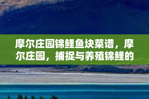 摩尔庄园锦鲤鱼块菜谱，摩尔庄园，捕捉与养殖锦鲤的趣味指南