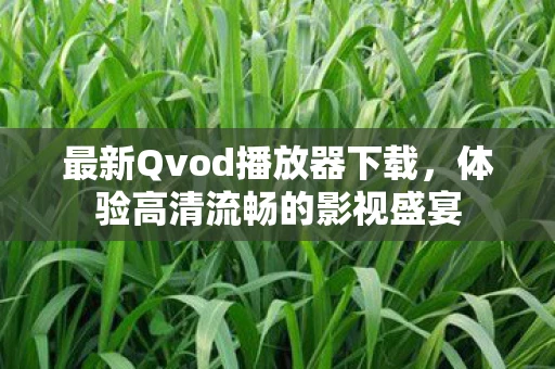 最新Qvod播放器下载，体验高清流畅的影视盛宴