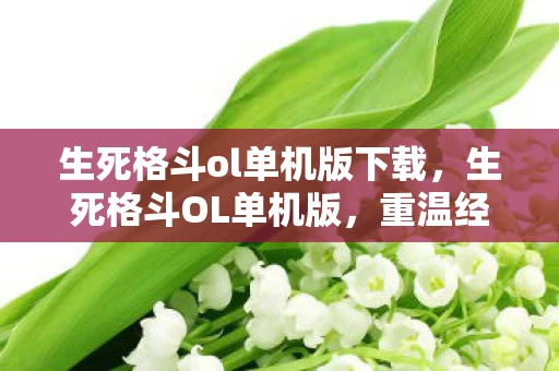 生死格斗ol单机版下载,生死格斗OL单机版,重温经典格斗游戏的魅力 生死格斗ol单机版下载,生死格斗OL单机版,重温经典格斗游戏的魅力