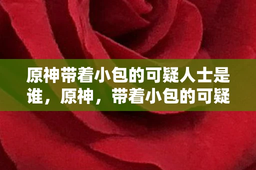 原神带着小包的可疑人士是谁，原神，带着小包的可疑人士