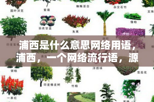 浦西是什么意思网络用语,浦西,一个网络流行语,源于中国上海市的一个地名,但在这里,它已超越了地理界限,成为了一个充满趣味和调侃意味的网络梗 浦西是什么意思网络用语,浦西,一个网络流行语,源于中国上海市的一个地名,但在这里,它已超越了地理界限,成为了一个充满趣味和调侃意味的网络梗