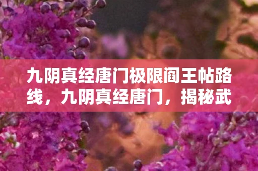 九阴真经唐门极限阎王帖路线，九阴真经唐门，揭秘武侠世界中的神秘门派