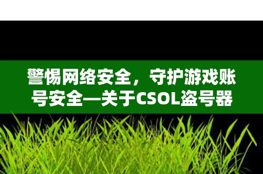 关于CSOL盗号器的警示图片
