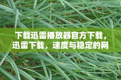 下载迅雷播放器官方下载,迅雷下载,速度与稳定的网络下载利器 下载迅雷播放器官方下载,迅雷下载,速度与稳定的网络下载利器