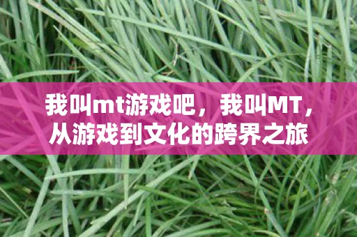 我叫mt游戏吧,我叫MT,从游戏到文化的跨界之旅 我叫mt游戏吧,我叫MT,从游戏到文化的跨界之旅
