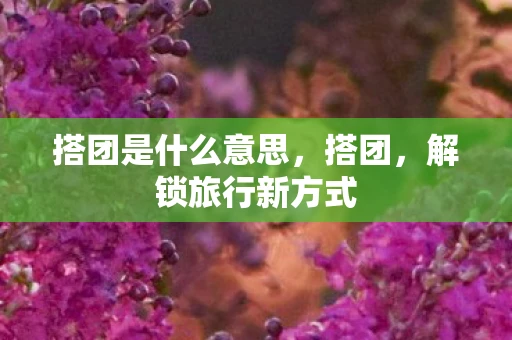 搭团是什么意思，搭团，解锁旅行新方式