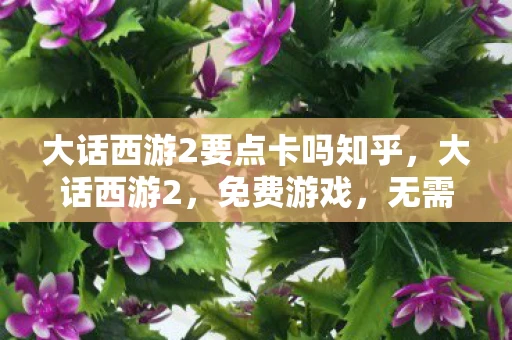 大话西游2要点卡吗知乎，大话西游2，免费游戏，无需点卡