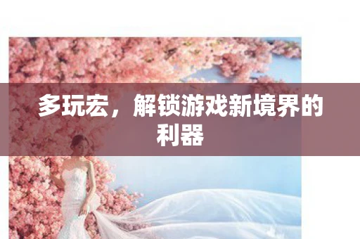 多玩宏，解锁游戏新境界的利器