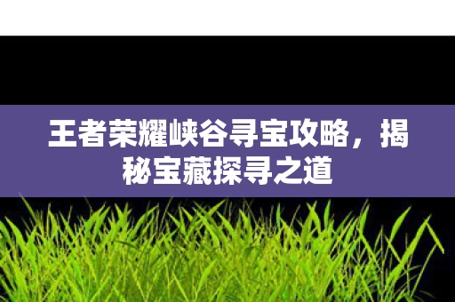 王者荣耀峡谷寻宝攻略图片