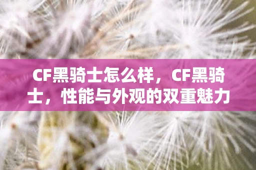 CF黑骑士怎么样，CF黑骑士，性能与外观的双重魅力